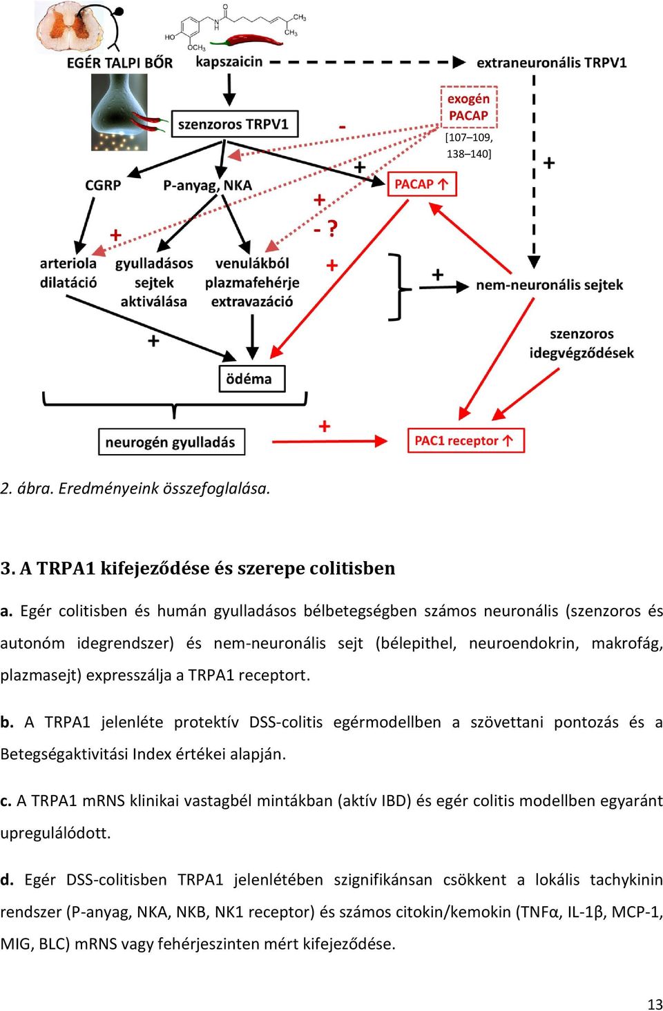 TRPA1 receptort. b. A TRPA1 jelenléte protektív DSS-colitis egérmodellben a szövettani pontozás és a Betegségaktivitási Index értékei alapján. c.