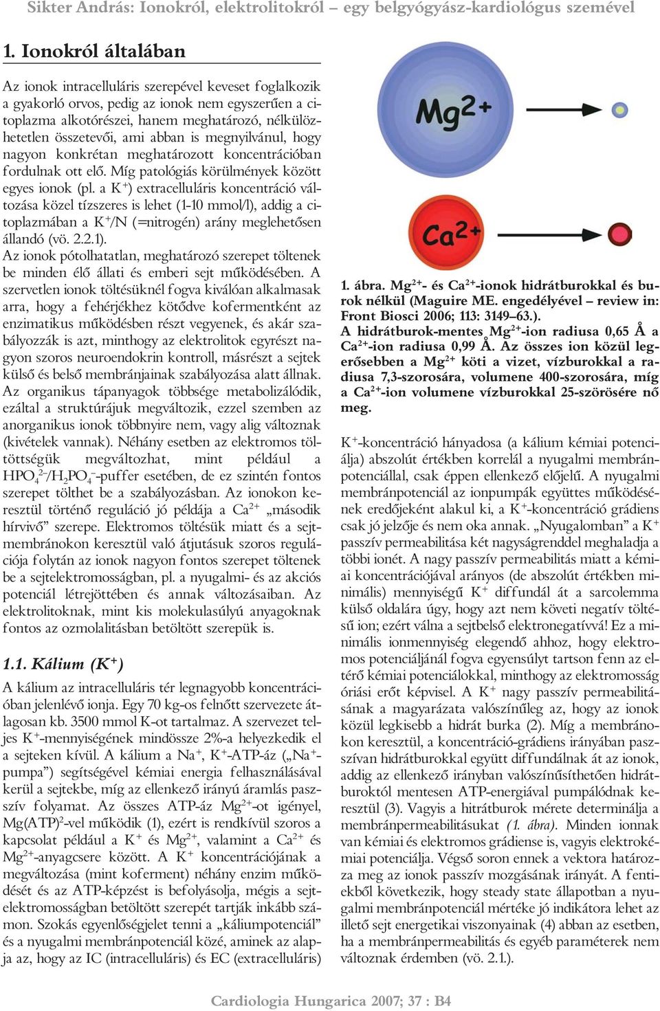 a K + ) extracelluláris koncentráció változása közel tízszeres is lehet (1-10 mmol/l), addig a citoplazmában a K + /N (=nitrogén) arány meglehetõsen állandó (vö. 2.2.1).