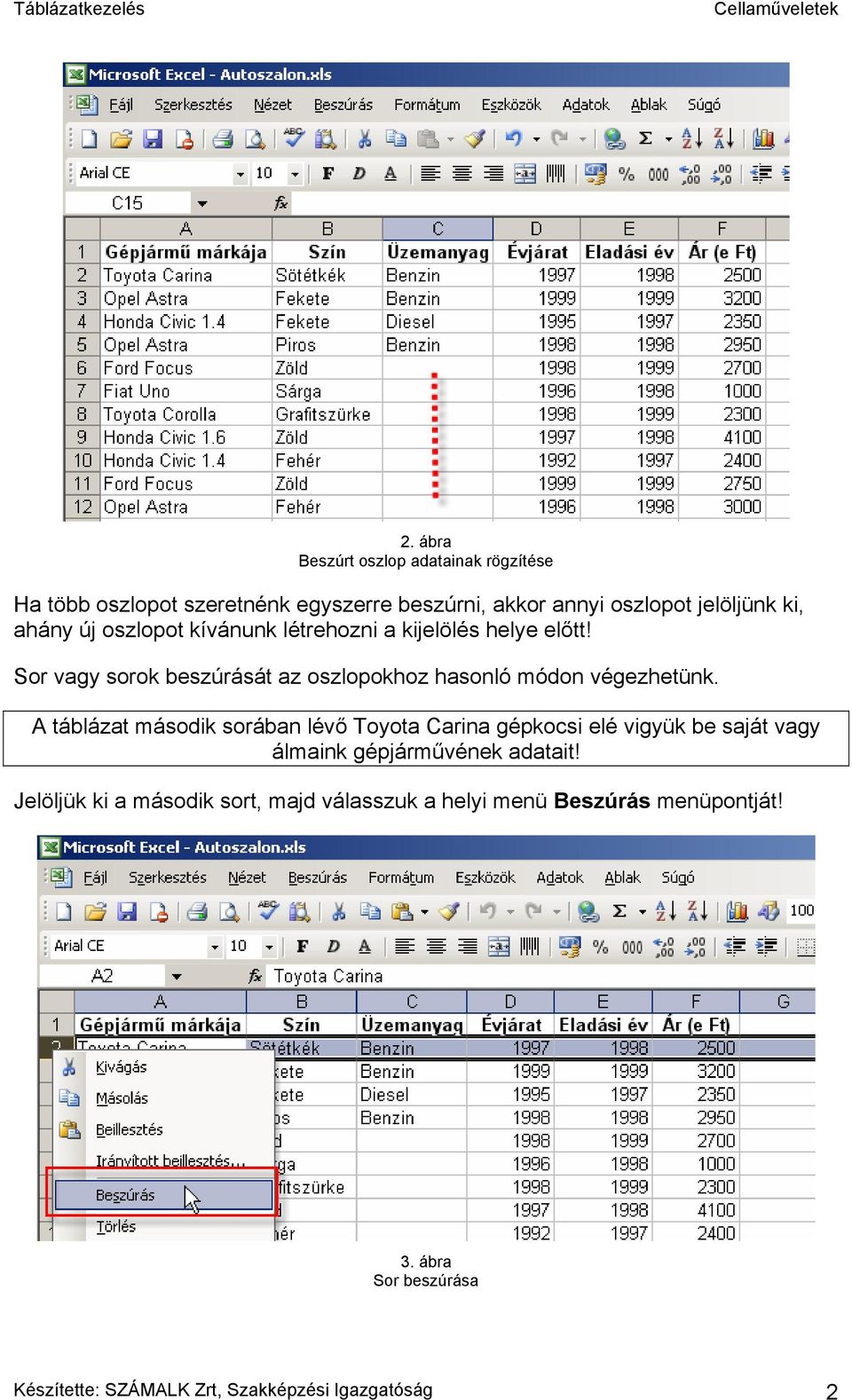 A táblázat második sorában lévő Toyota Carina gépkocsi elé vigyük be saját vagy álmaink gépjárművének adatait!