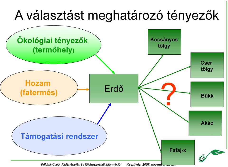 Kocsányos tölgy Cser tölgy Hozam