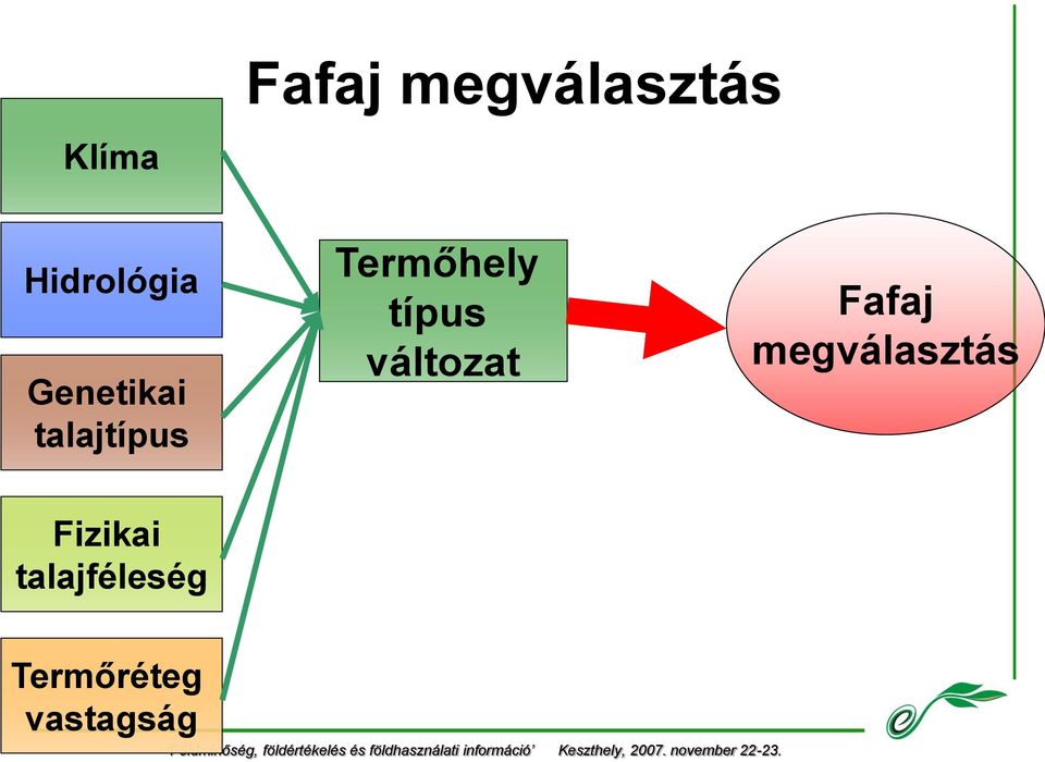 típus változat Fafaj megválasztás