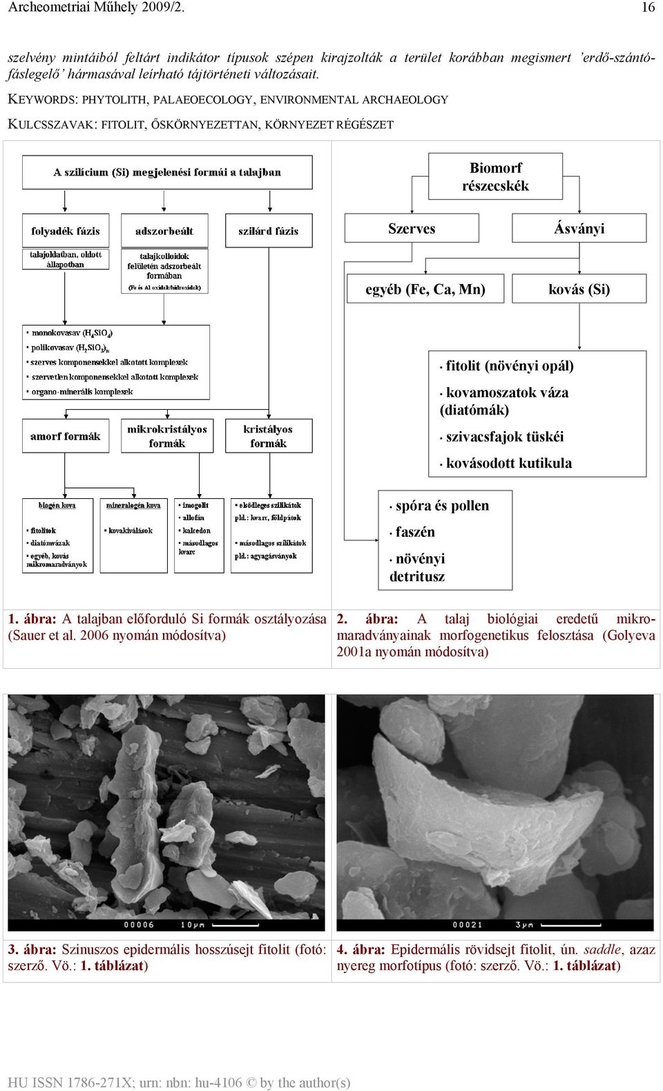 (növényi opál) kovamoszatok váza (diatómák) szivacsfajok tüskéi kovásodott kutikula spóra és pollen faszén növényi detritusz 1. ábra: A talajban előforduló Si formák osztályozása (Sauer et al.