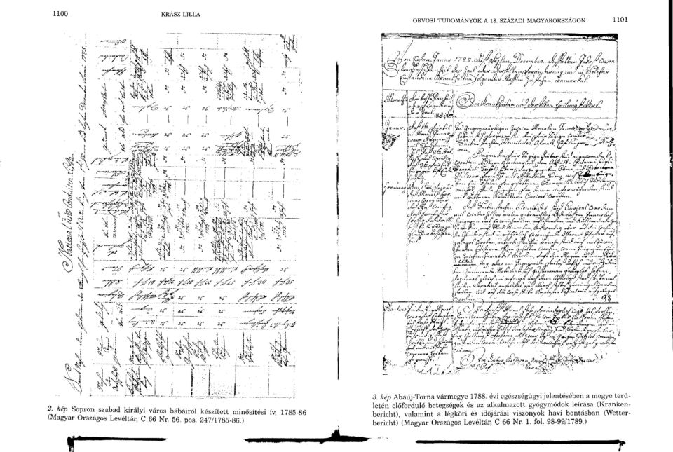 kép Sopron szabad királyi város bábáiról készített minősítési ív, 785-86 (Magyar Országos Levéltár, C 66 Nr. 56. pos. 247/785-86.) ll: 3. kép Abaúj-Torna vármegye 788.