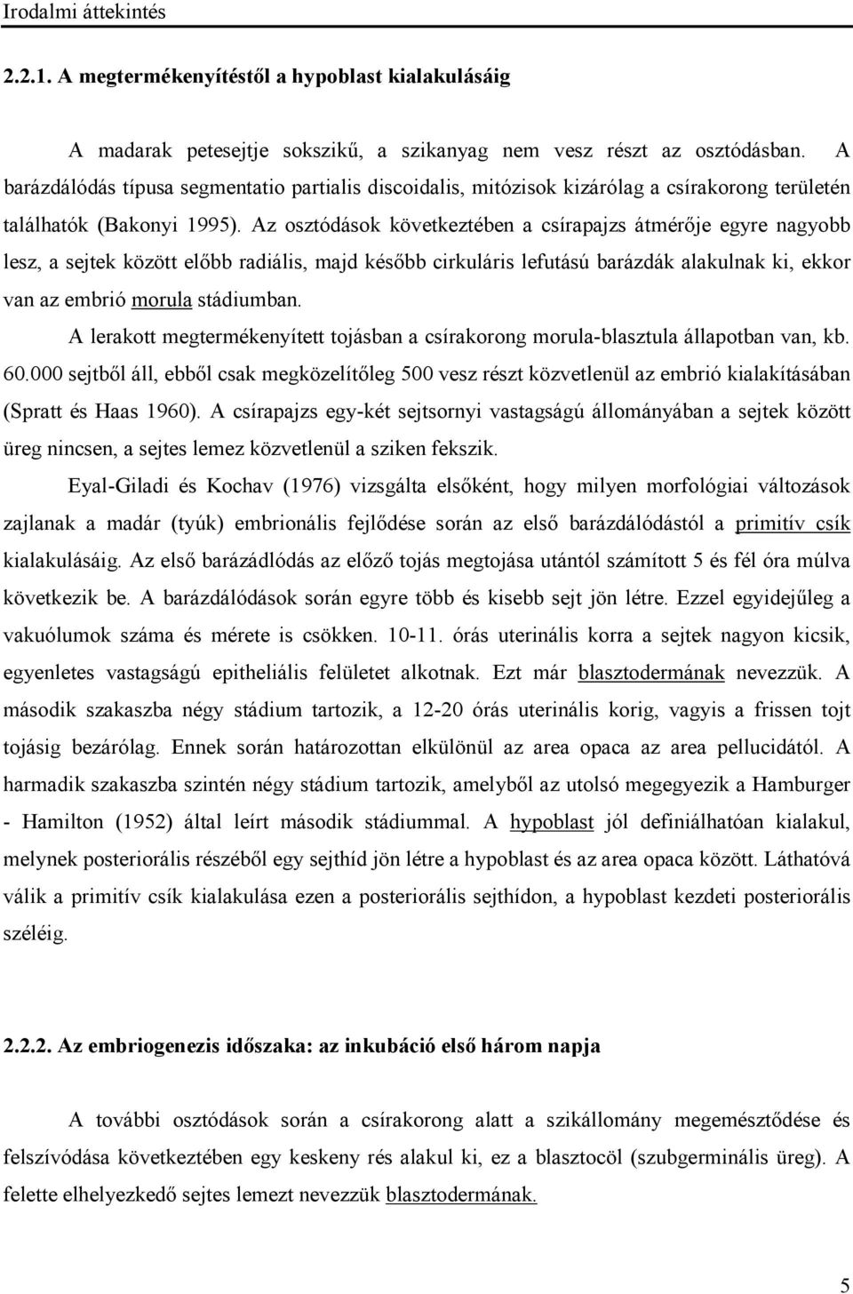 Az osztódások következtében a csírapajzs átmérője egyre nagyobb lesz, a sejtek között előbb radiális, majd később cirkuláris lefutású barázdák alakulnak ki, ekkor van az embrió morula stádiumban.