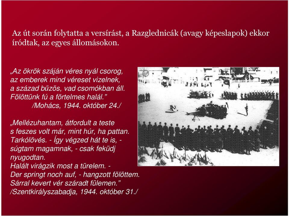 /Mohács, 1944. október 24./ Mellézuhantam, átfordult a teste s feszes volt már, mint húr, ha pattan. Tarkólövés.