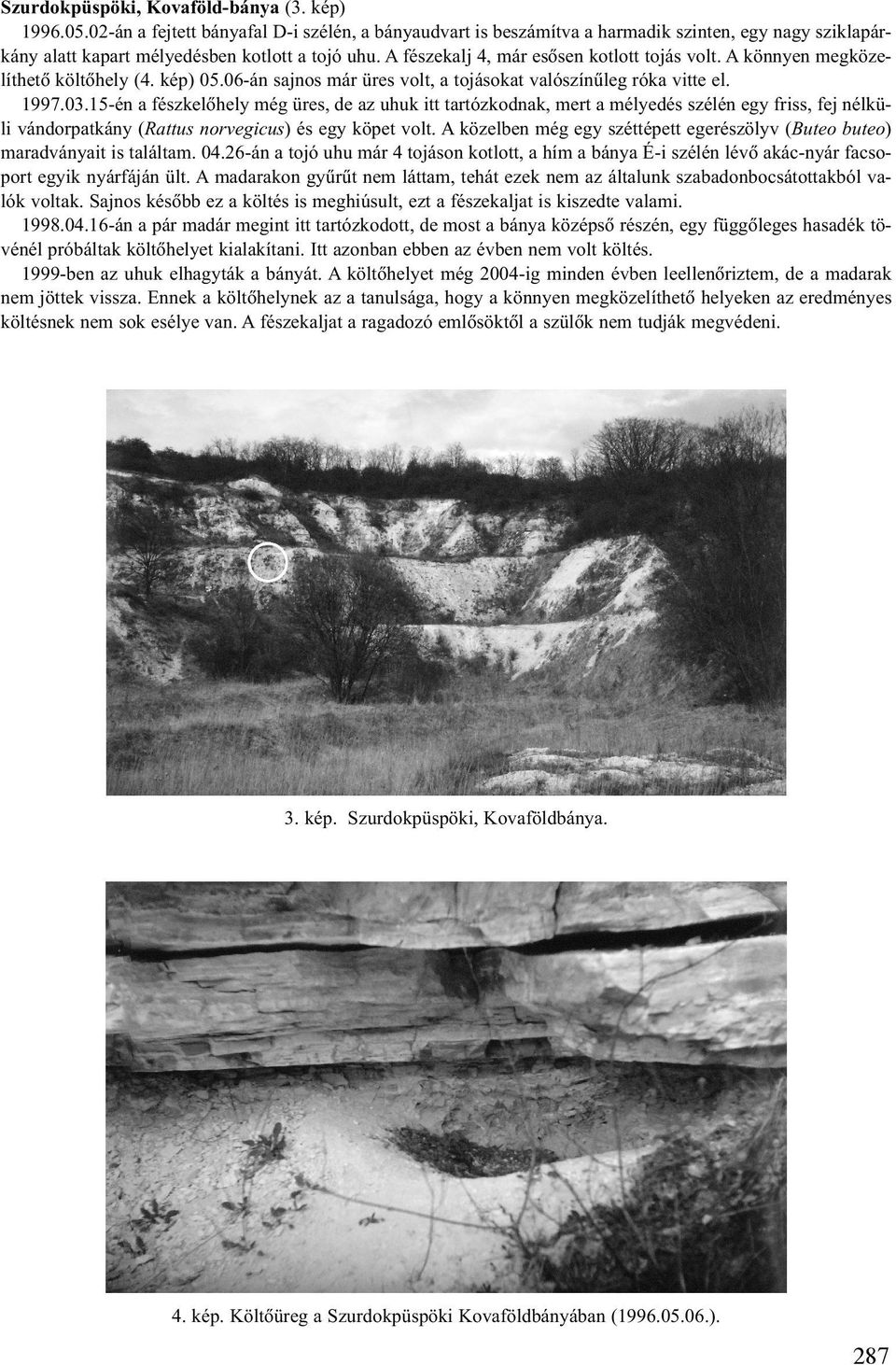 A könnyen megközelíthetõ költõhely (4. kép) 05.06-án sajnos már üres volt, a tojásokat valószínûleg róka vitte el. 1997.03.