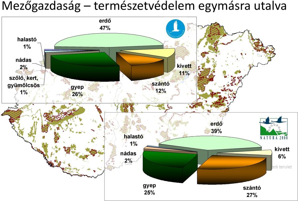 gyümölcsös 1% gyep 26% szántó 12% kivett 11%