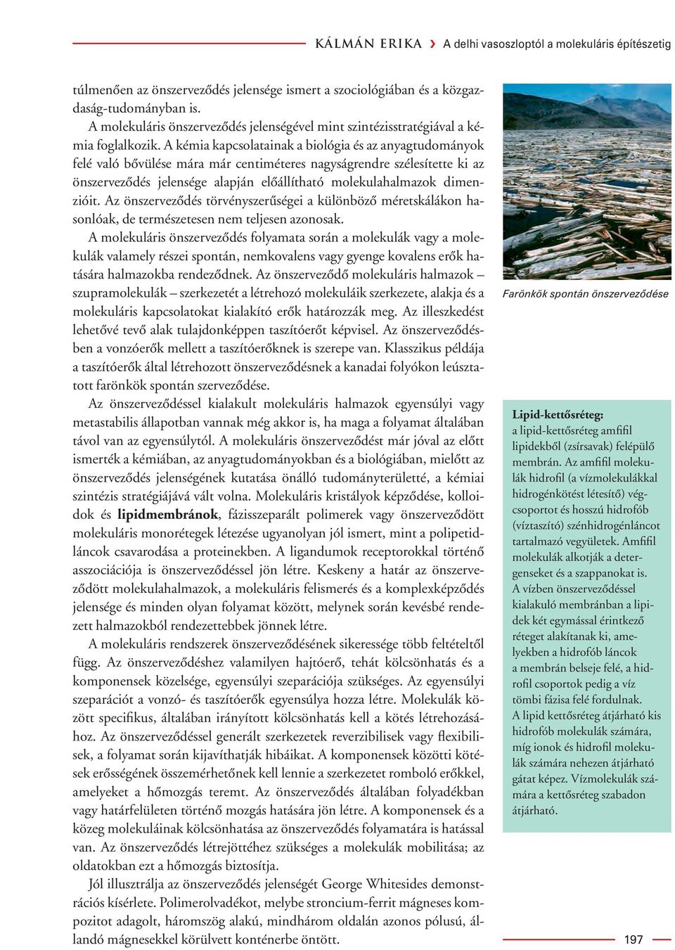 A kémia kapcsolatainak a biológia és az anyagtudományok felé való bôvülése mára már centiméteres nagyságrendre szélesítette ki az önszervezôdés jelensége alapján elôállítható molekulahalmazok