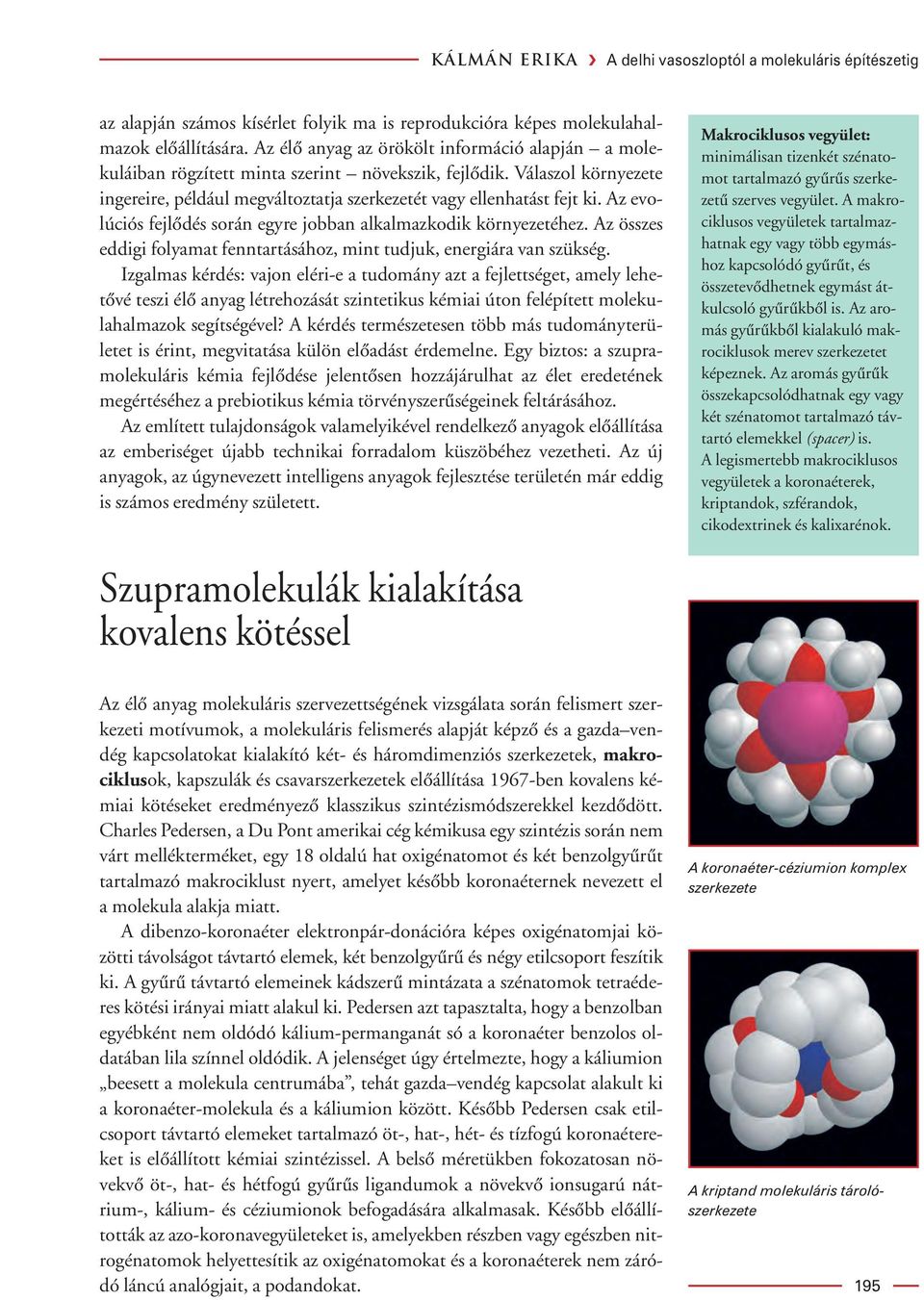 Az evolúciós fejlôdés során egyre jobban alkalmazkodik környezetéhez. Az összes eddigi folyamat fenntartásához, mint tudjuk, energiára van szükség.