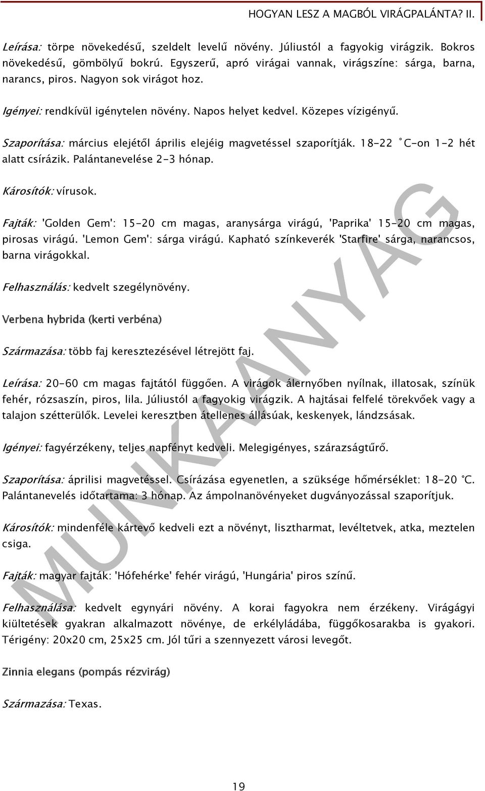 18-22 C-on 1-2 hét alatt csírázik. Palántanevelése 2-3 hónap. Károsítók: vírusok. Fajták: 'Golden Gem': 15-20 cm magas, aranysárga virágú, 'Paprika' 15-20 cm magas, pirosas virágú.