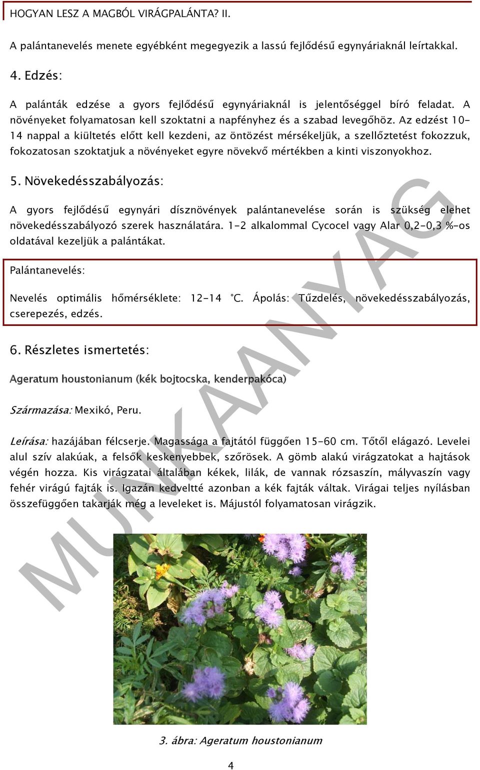 Az edzést 10-14 nappal a kiültetés előtt kell kezdeni, az öntözést mérsékeljük, a szellőztetést fokozzuk, fokozatosan szoktatjuk a növényeket egyre növekvő mértékben a kinti viszonyokhoz. 5.