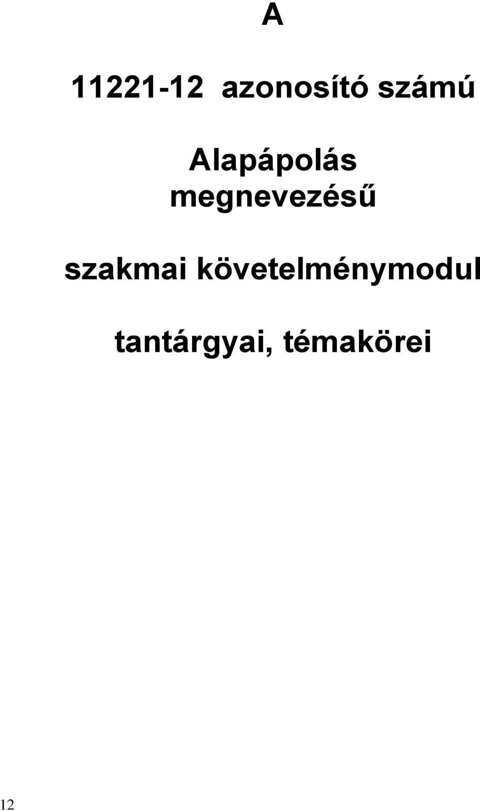 megnevezésű szakmai