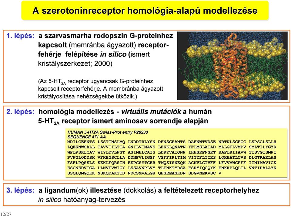 G-proteinhez G kapcsolt receptorfehérje. rje. A membránba ágyazott kristályos lyosítása sa nehézs zségekbe ütközik.) 2.