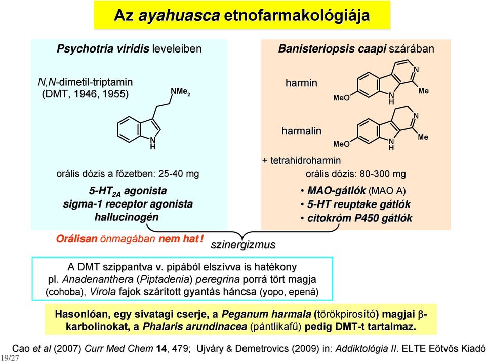 szinergizmus Banisteriopsis caapi szárában harmin harmalin Me Me + tetrahidroharmin orális dózis: d 80-300 mg MA-gátlók (MA A) 5-T reuptake gátlók citokróm m P450 gátlók Me Me A DMT szippantva v.