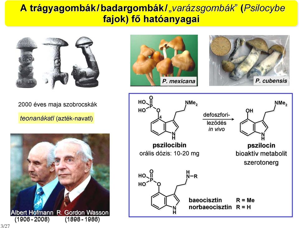 cubensis 2000 éves maja szobrocskák teonanákatl (azték-navatl navatl) Me P 2 4 pszilocibin orális