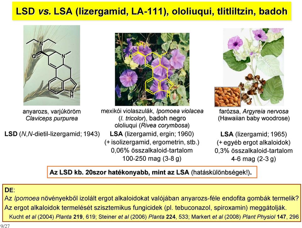 ) 0,06% összalkaloid-tartalom 100-250 mag (3-8 g) farózsa, Argyreia nervosa (awaiian baby woodrose) LSA (lizergamid; 1965) (+ egyéb ergot alkaloidok) 0,3% összalkaloid-tartalom 4-6 mag (2-3 g) Az LSD