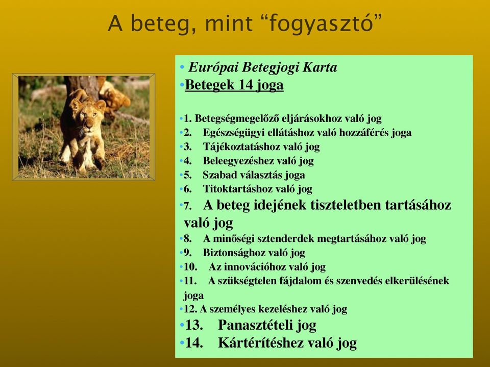 A minőségi sztenderdek megtartásához való jog 9. Biztonsághoz való jog 10. Az innovációhoz való jog 11.