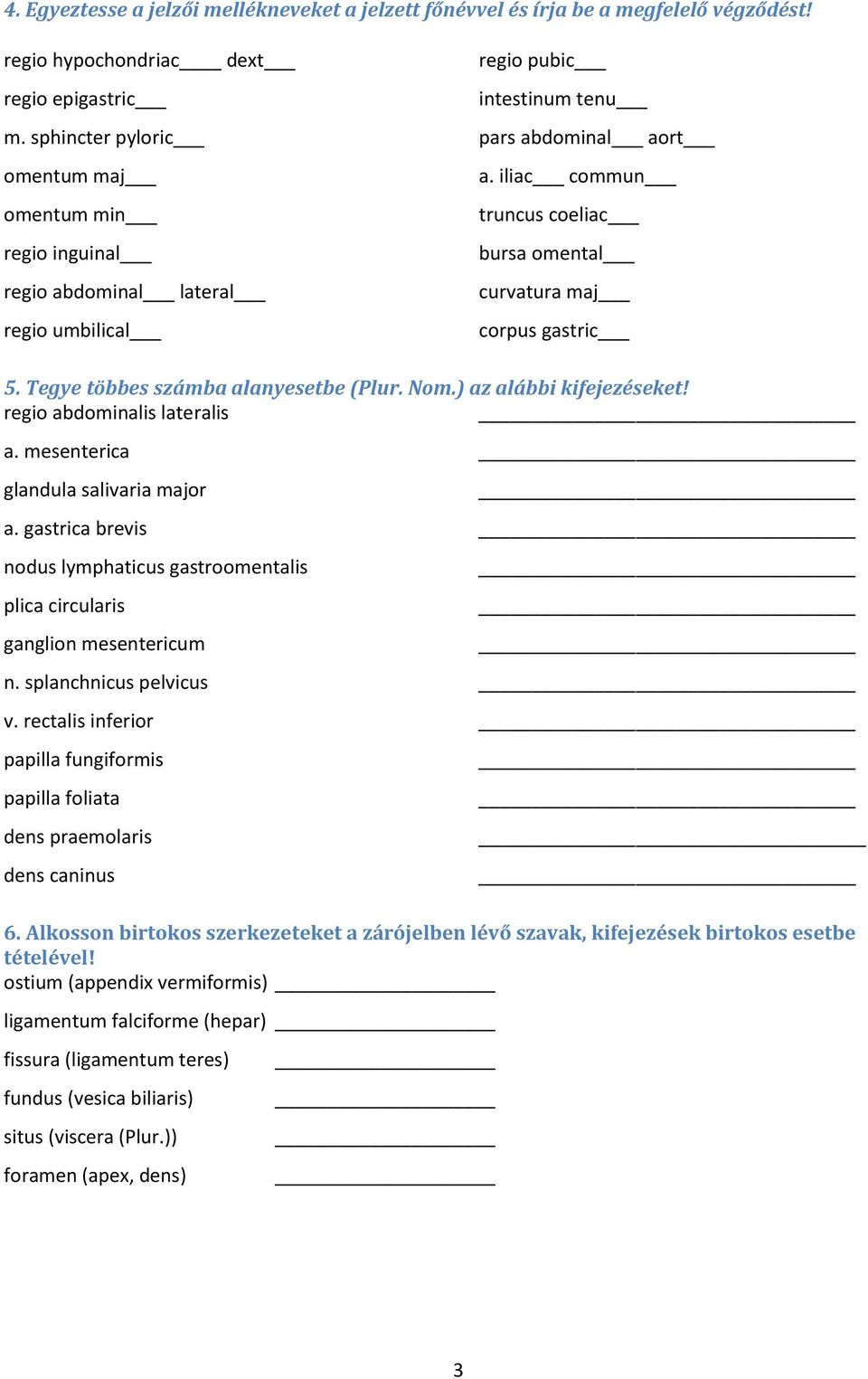 iliac commun truncus coeliac bursa omental curvatura maj corpus gastric 5. Tegye többes számba alanyesetbe (Plur. Nom.) az alábbi kifejezéseket! regio abdominalis lateralis a.