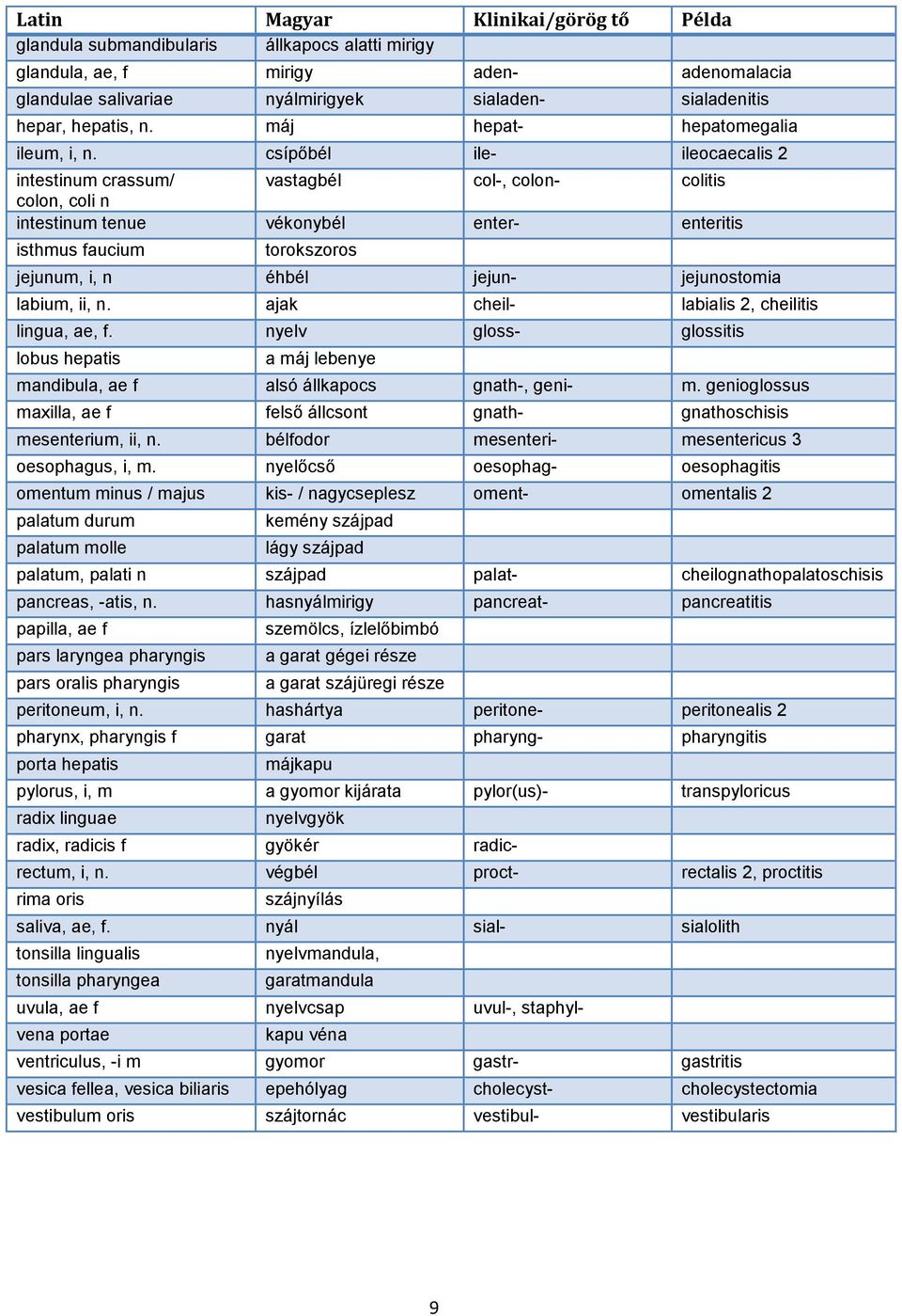 csípőbél ile- ileocaecalis 2 intestinum crassum/ vastagbél col-, colon- colitis colon, coli n intestinum tenue vékonybél enter- enteritis isthmus faucium torokszoros jejunum, i, n éhbél jejun-