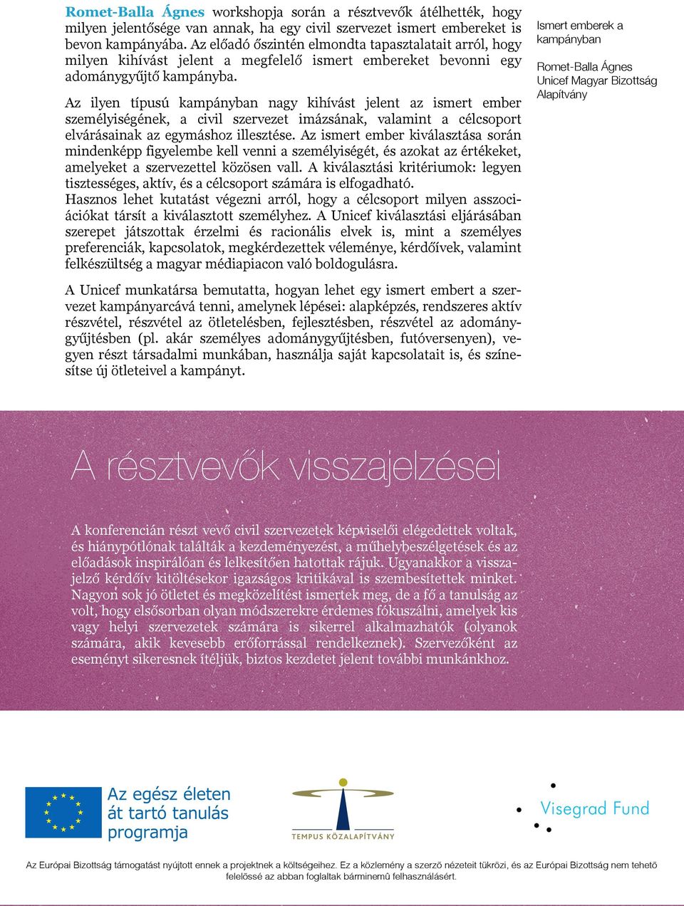 Az ilyen típusú kampányban nagy kihívást jelent az ismert ember személyiségének, a civil szervezet imázsának, valamint a célcsoport elvárásainak az egymáshoz illesztése.