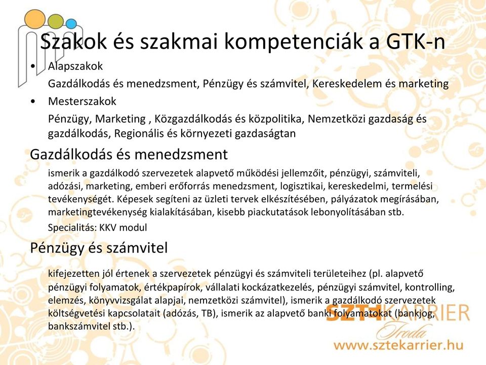 marketing, emberi erőforrás menedzsment, logisztikai, kereskedelmi, termelési tevékenységét.