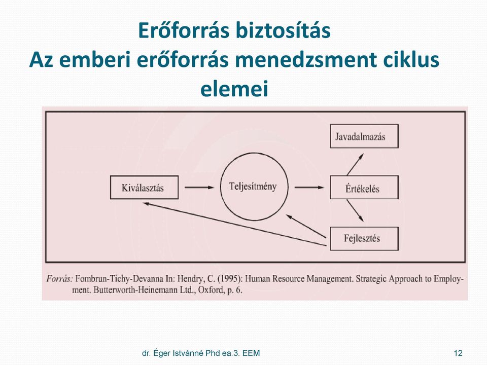 menedzsment ciklus elemei