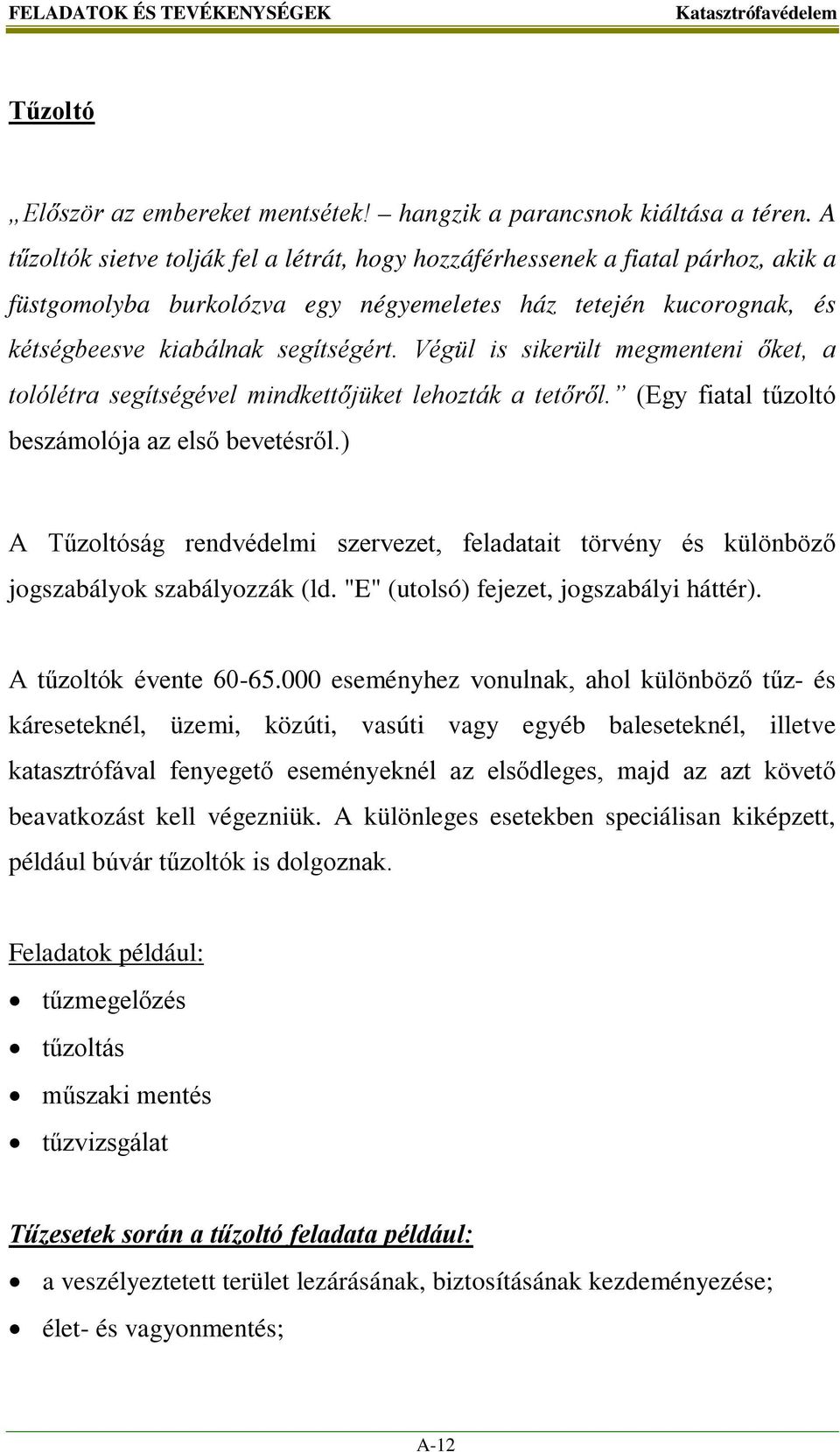 Végül is sikerült megmenteni őket, a tolólétra segítségével mindkettőjüket lehozták a tetőről. (Egy fiatal tűzoltó beszámolója az első bevetésről.