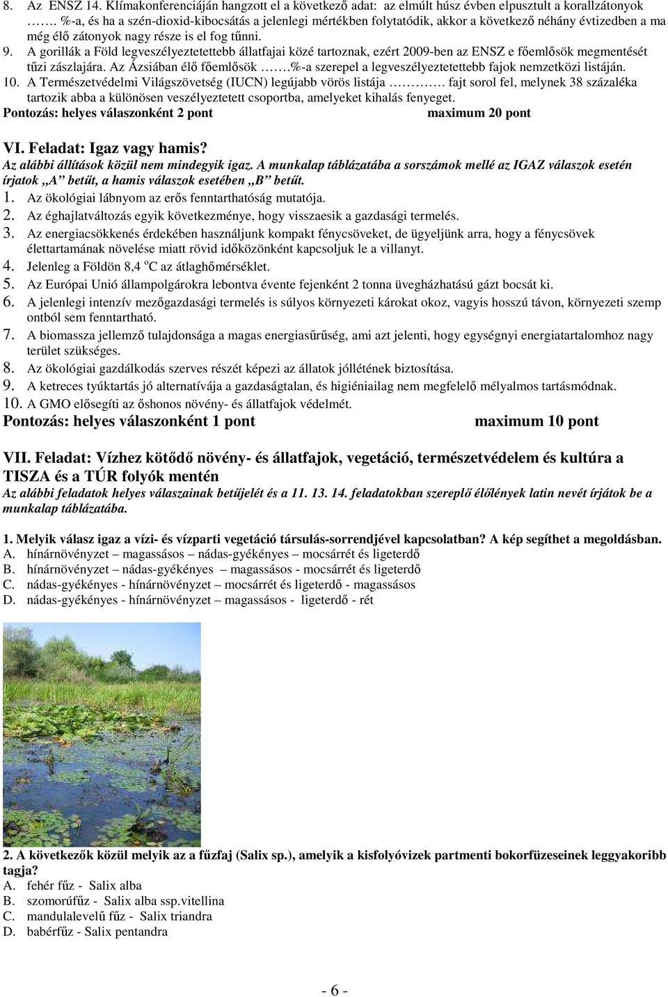 A gorillák a Föld legveszélyeztetettebb állatfajai közé tartoznak, ezért 2009-ben az ENSZ e főemlősök megmentését tűzi zászlajára. Az Ázsiában élő főemlősök.