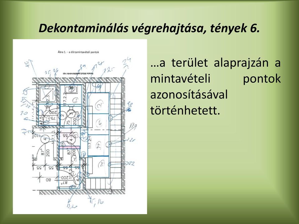 a terület alaprajzán a