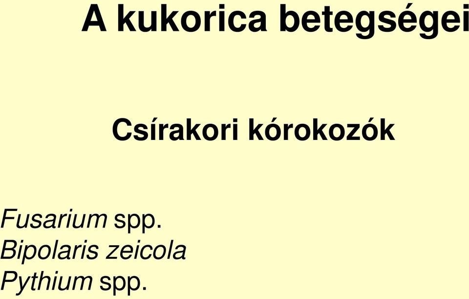 Fusarium spp.