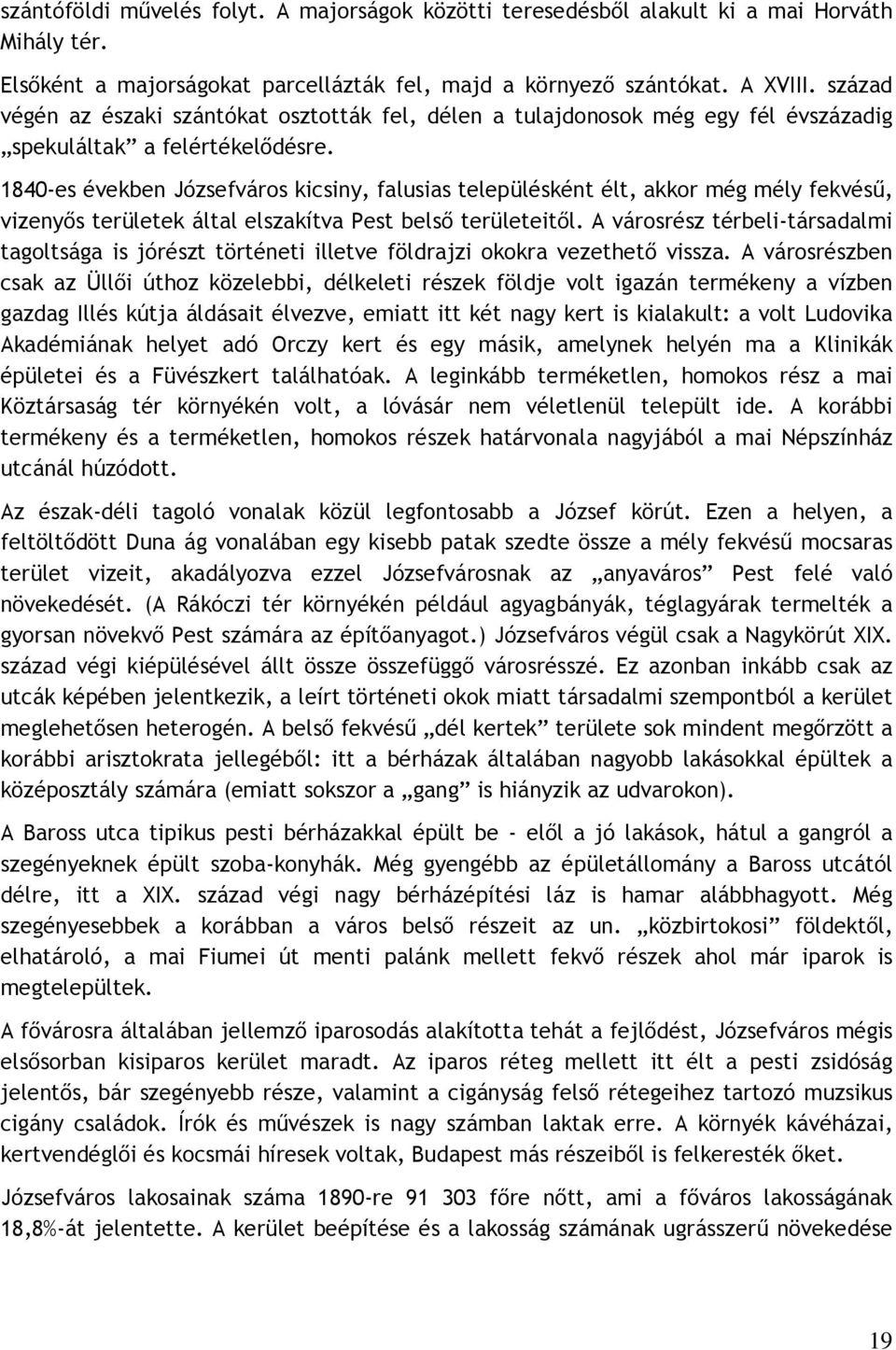 1840-es években Józsefváros kicsiny, falusias településként élt, akkor még mély fekvéső, vizenyıs területek által elszakítva Pest belsı területeitıl.