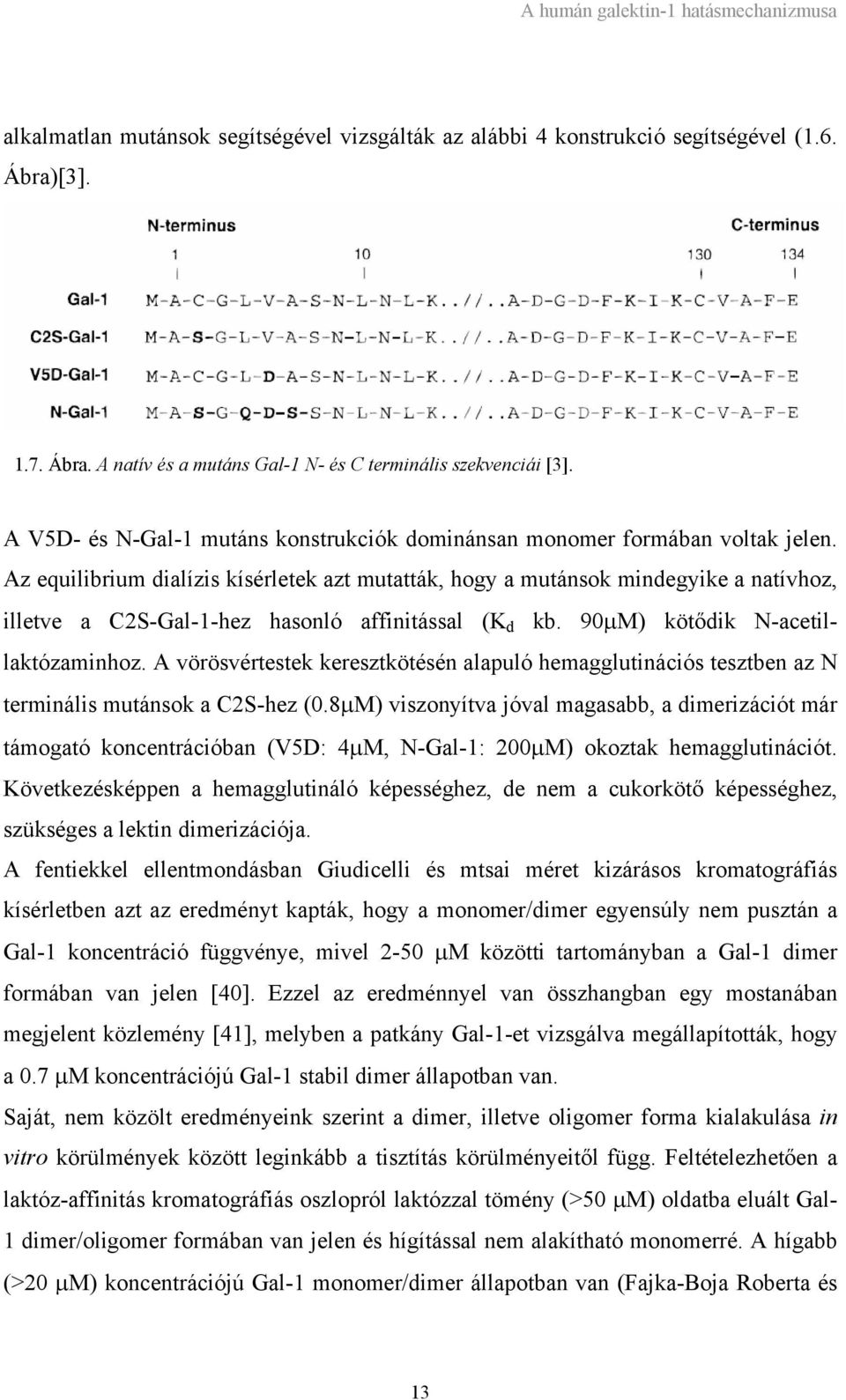 Az equilibrium dialízis kísérletek azt mutatták, hogy a mutánsok mindegyike a natívhoz, illetve a C2S-Gal-1-hez hasonló affinitással (K d kb. 90µM) kötődik N-acetillaktózaminhoz.