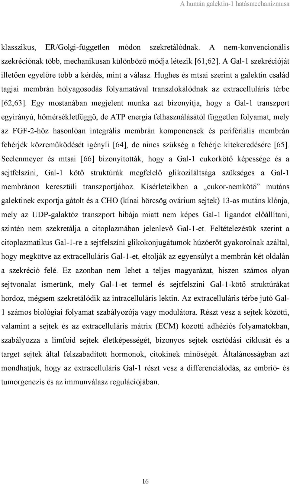 Hughes és mtsai szerint a galektin család tagjai membrán hólyagosodás folyamatával transzlokálódnak az extracelluláris térbe [62;63].