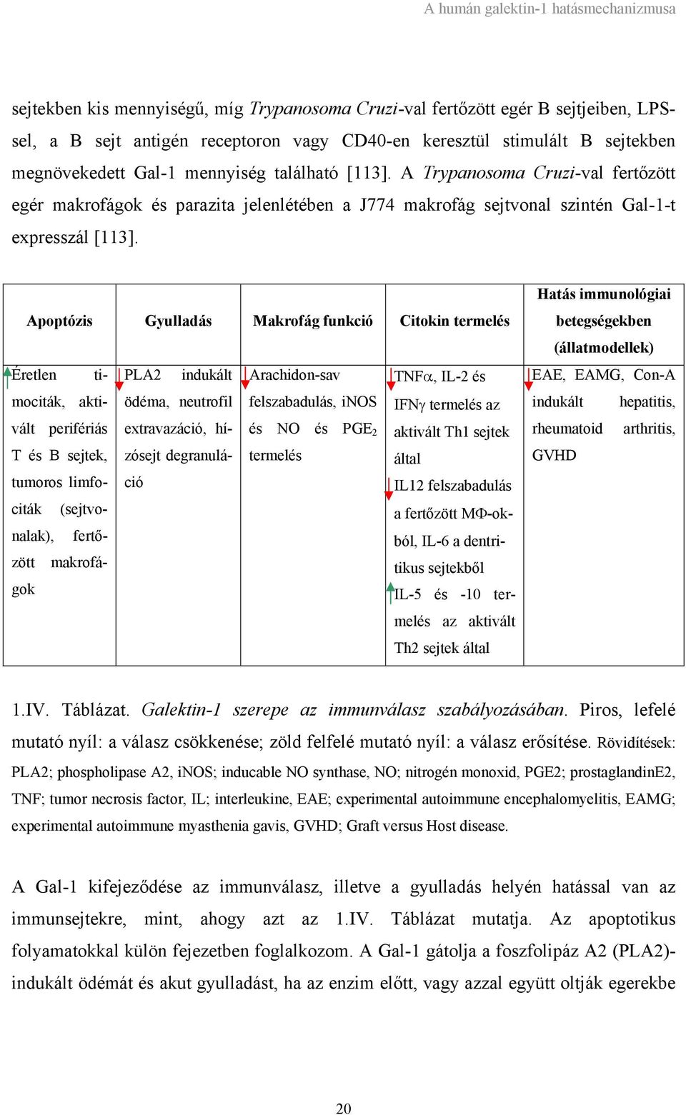 Apoptózis Gyulladás Makrofág funkció Citokin termelés Éretlen timociták, PLA2 indukált Arachidon-sav TNFα, IL-2 és akti- ödéma, neutrofil felszabadulás, inos IFNγ termelés az vált perifériás