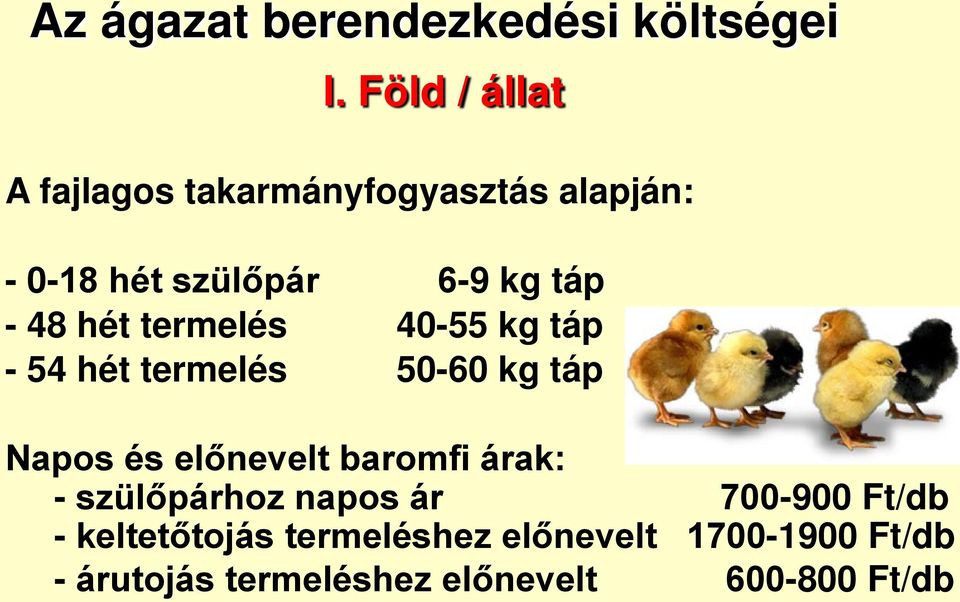 hét termelés 40-55 kg táp - 54 hét termelés 50-60 kg táp Napos és előnevelt baromfi