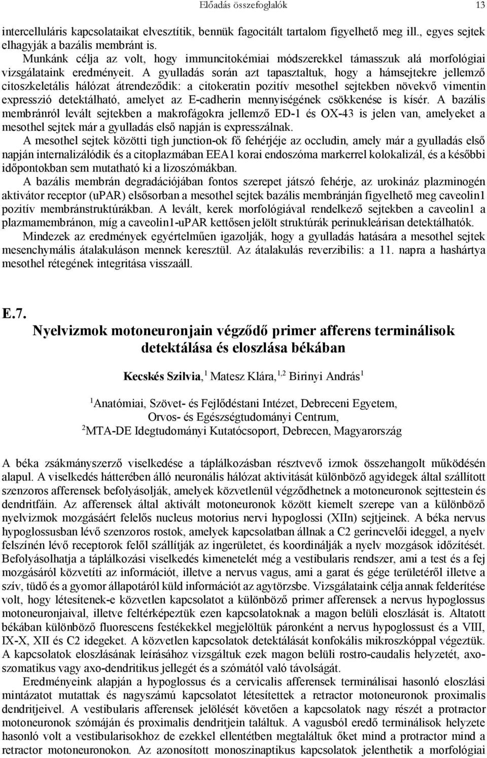 A gyulladás során azt tapasztaltuk, hogy a hámsejtekre jellemző citoszkeletális hálózat átrendeződik: a citokeratin pozitív mesothel sejtekben növekvő vimentin expresszió detektálható, amelyet az