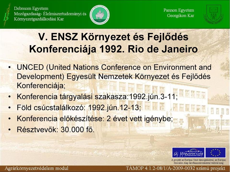 Egyesült Nemzetek Környezet és Fejlődés Konferenciája; Konferencia tárgyalási