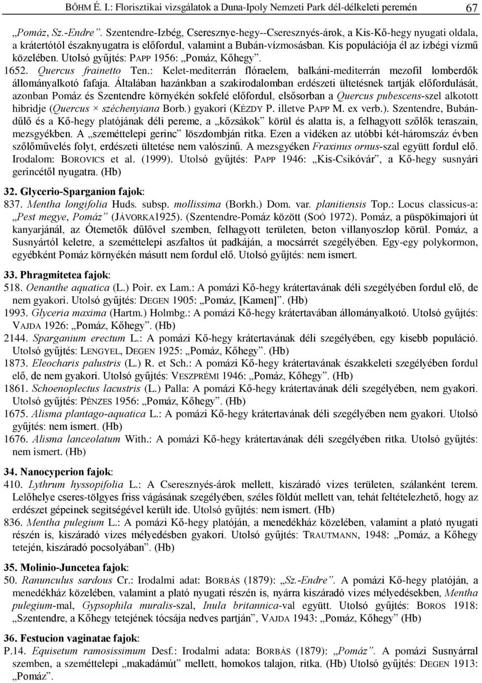 Utolsó gyûjtés: PAPP 1956: Pomáz, Kõhegy. 1652. Quercus frainetto Ten.: Kelet-mediterrán flóraelem, balkáni-mediterrán mezofil lomberdõk állományalkotó fafaja.