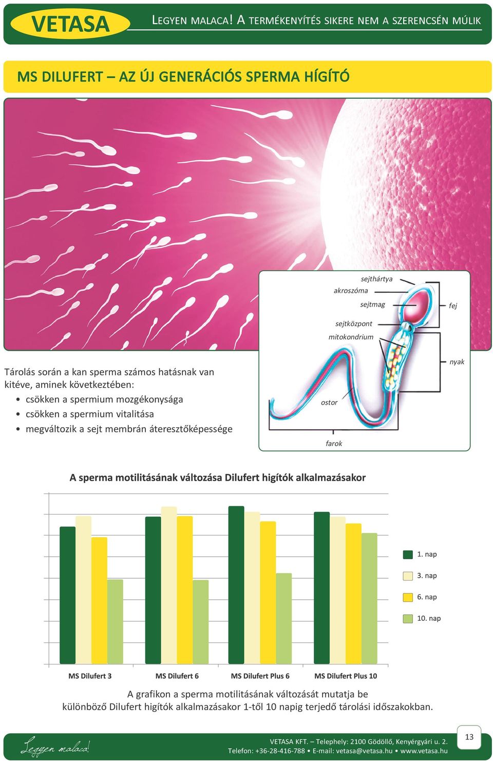 sejtközpont mitokondrium nyak Tárolás során a kan sperma számos hatásnak van kitéve, aminek következtében: csökken a spermium