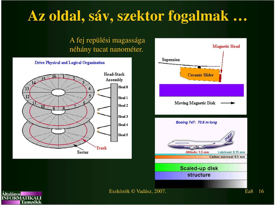 magassága néhány tucat