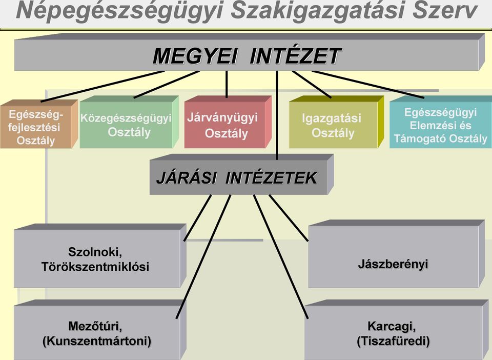 Egészségügyi Elemzési és Támogató Osztály JÁRÁSI INTÉZETEK Szolnoki,