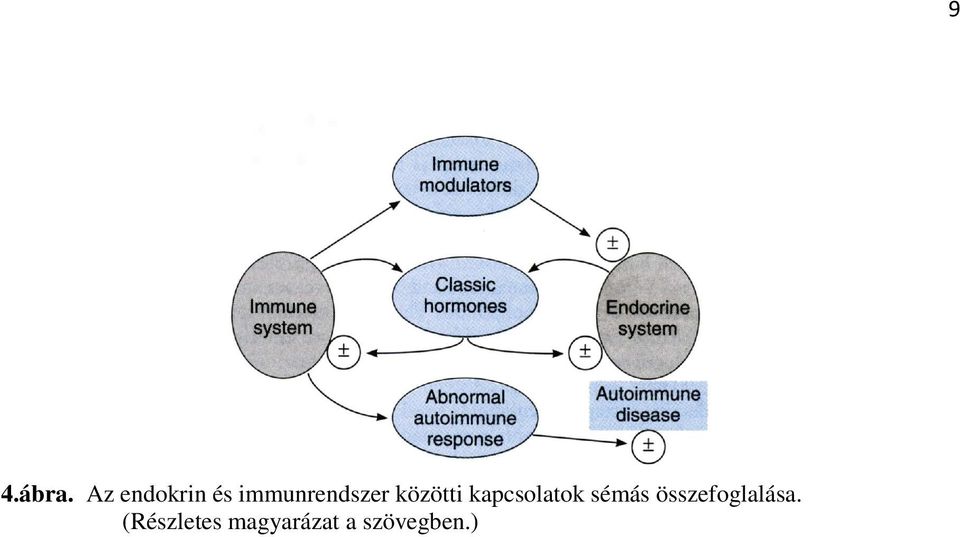 közötti kapcsolatok sémás