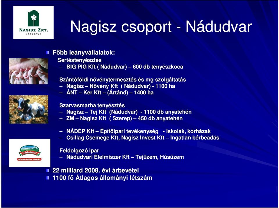 anyatehén ZM Nagisz Kft ( Szerep) 450 db anyatehén NÁDÉP Kft Építőipari tevékenység - Iskolák, kórházak Csillag Csemege Kft, Nagisz Invest Kft