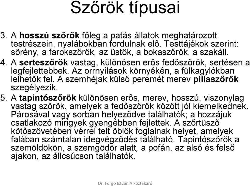 A tapintószőrök különösen erős, merev, hosszú, viszonylag vastag szőrök, amelyek a fedőszőrök között jól kiemelkednek.