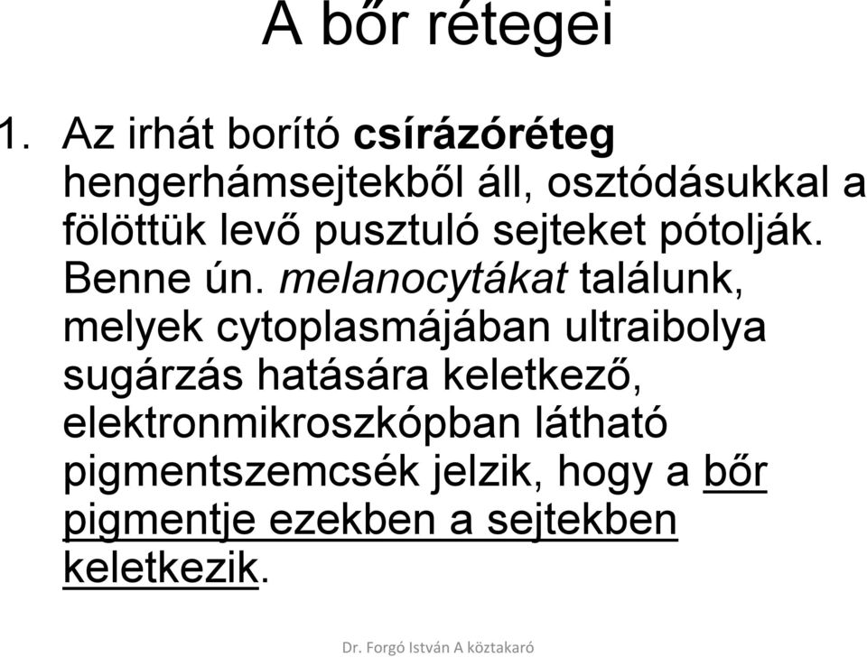 pusztuló sejteket pótolják. Benne ún.