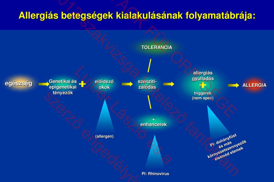 epigenetikai tényezők előidéző okok szenzitizálódás allergiás