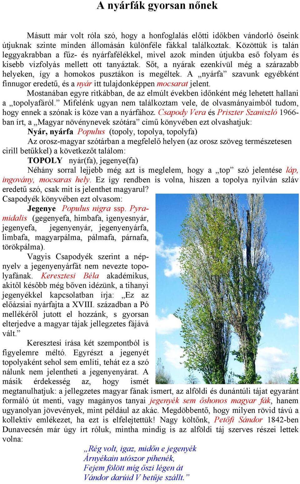 Sőt, a nyárak ezenkívül még a szárazabb helyeken, így a homokos pusztákon is megéltek. A nyárfa szavunk egyébként finnugor eredetű, és a nyár itt tulajdonképpen mocsarat jelent.