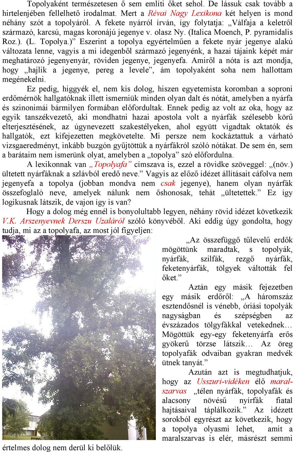 ) Eszerint a topolya egyértelműen a fekete nyár jegenye alakú változata lenne, vagyis a mi idegenből származó jegenyénk, a hazai tájaink képét már meghatározó jegenyenyár, röviden jegenye, jegenyefa.