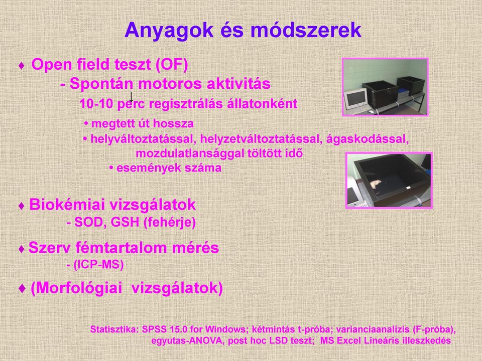 vizsgálatok - SOD, GSH (fehérje) Szerv fémtartalom mérés - (ICP-MS) (Morfológiai vizsgálatok) Statisztika: SPSS 15.