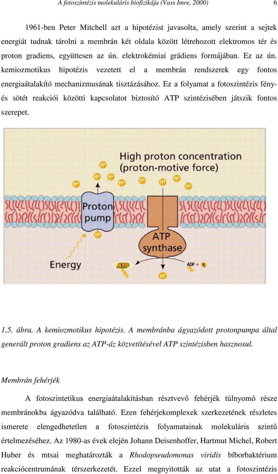 kemiozmotikus hipotézis vezetett el a membrán rendszerek egy fontos energiaátalakító mechanizmusának tisztázásához.